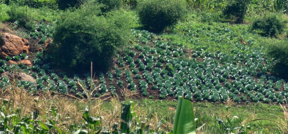 Natural Resource Conservation