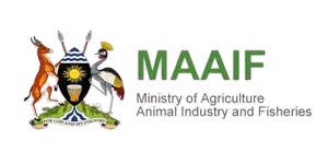 MAAIF logo
