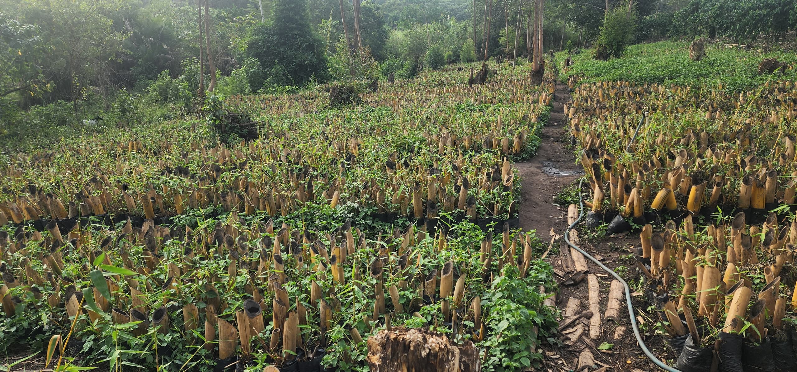 Natural Resource Conservation